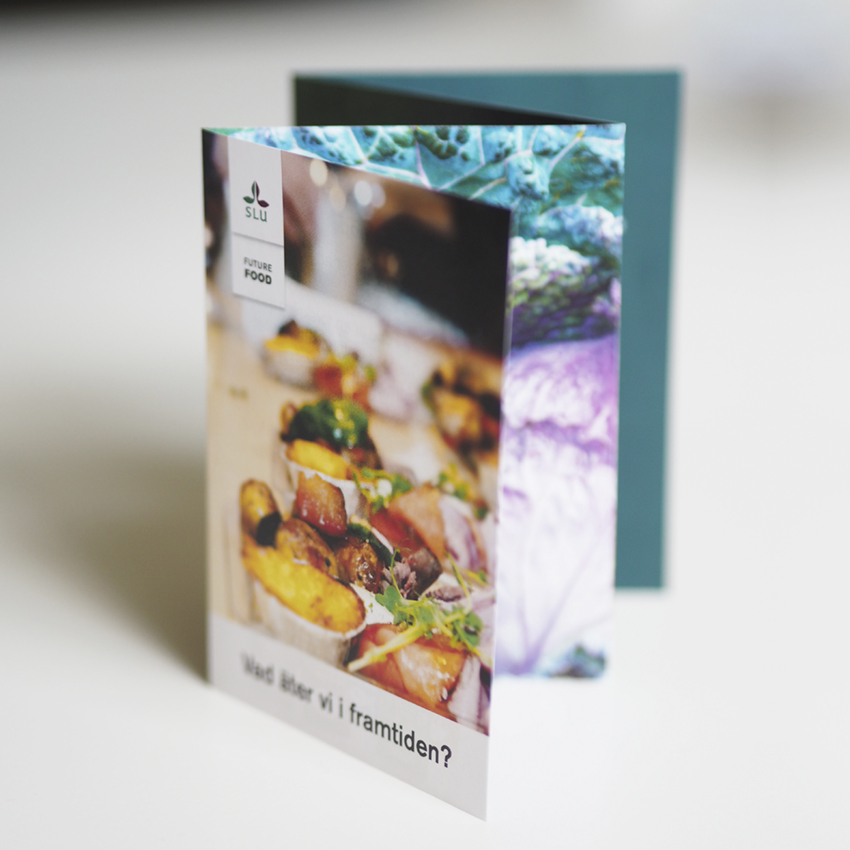 Liten åttasidig folder till SLU