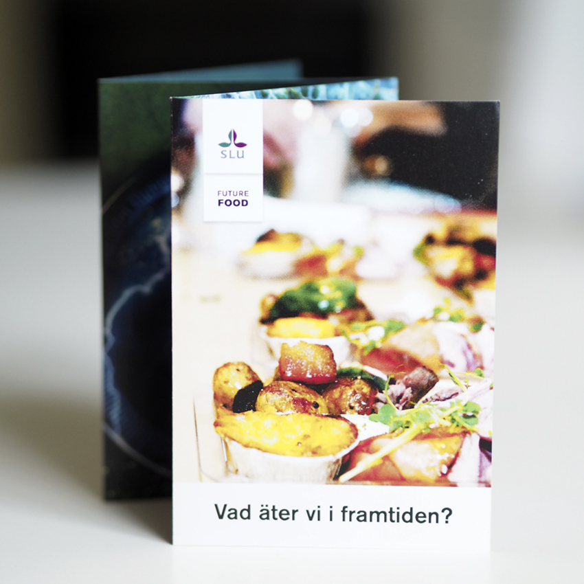 Liten åttasidig folder till SLU – bild 6