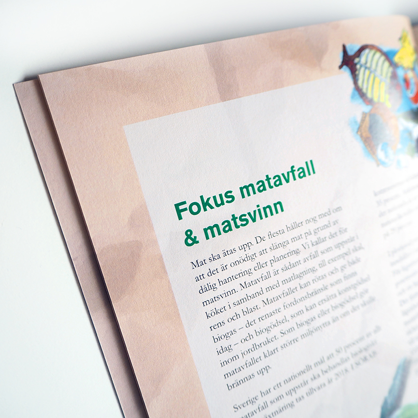 Vad finns det i soppåsen? – bild 2