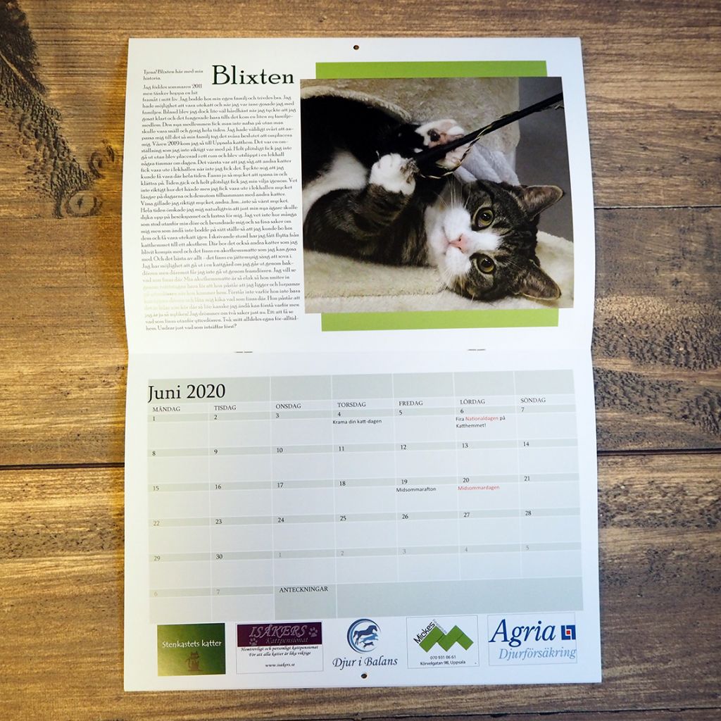 Kalender till Uppsala Katthem – bild 4