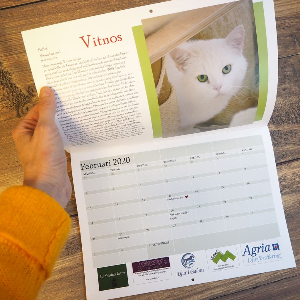 Kalender till Uppsala Katthem – bild 3