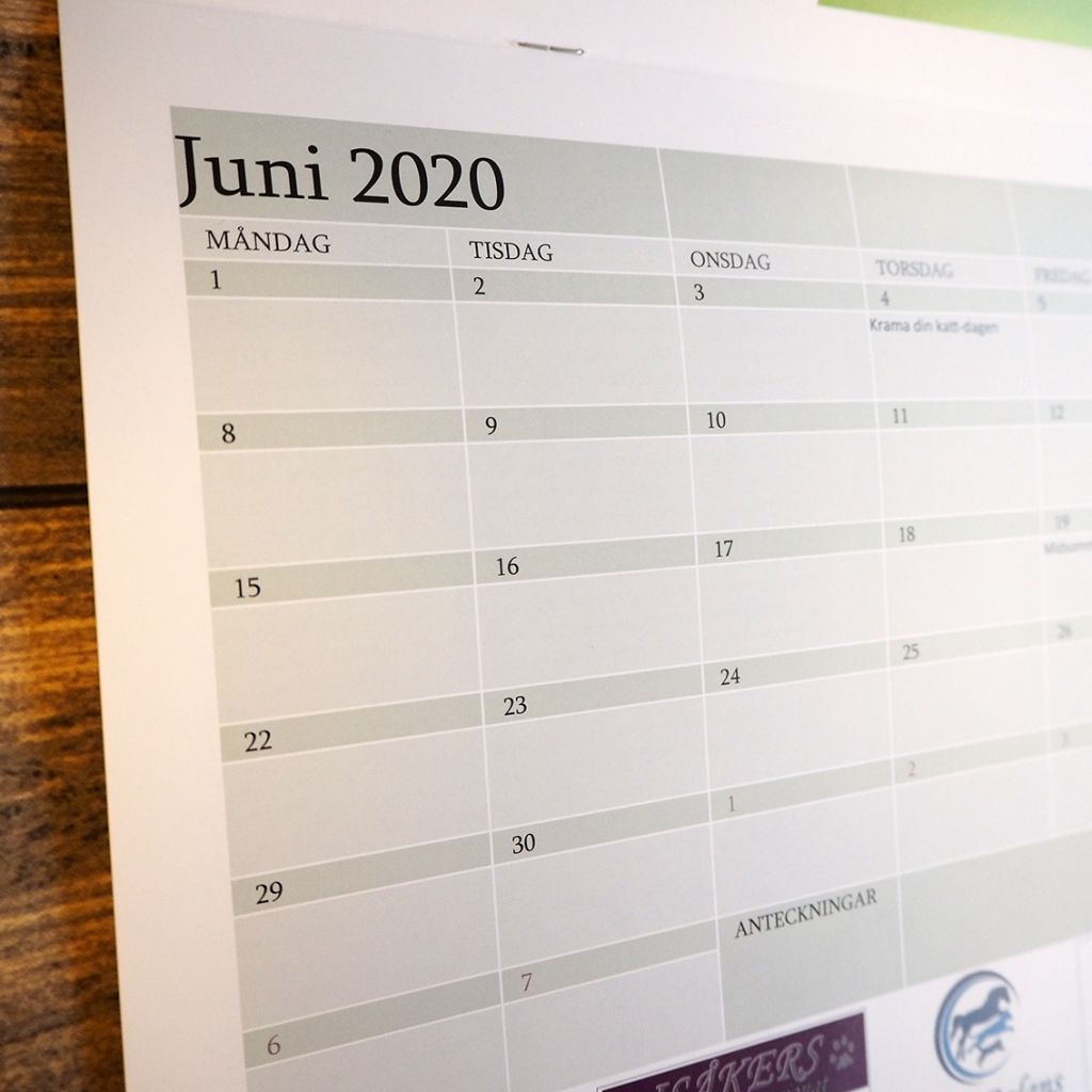 Kalender till Uppsala Katthem – bild 2